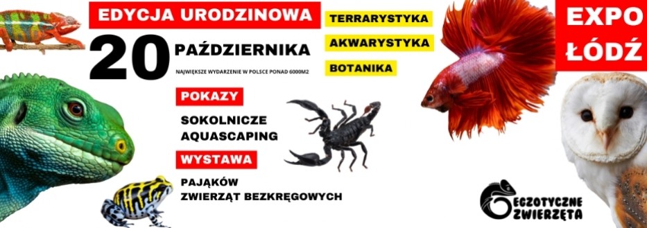 Egzotyczne zwierzęta targi Łódź