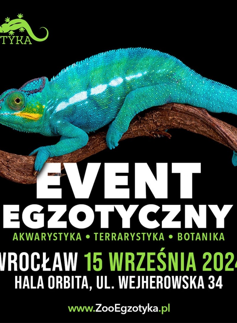 Zooegzotyka Wrocław