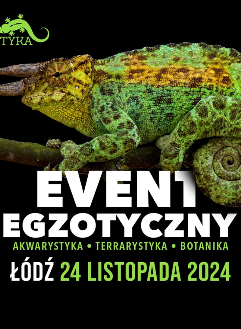 Zooegzotyka Łódź