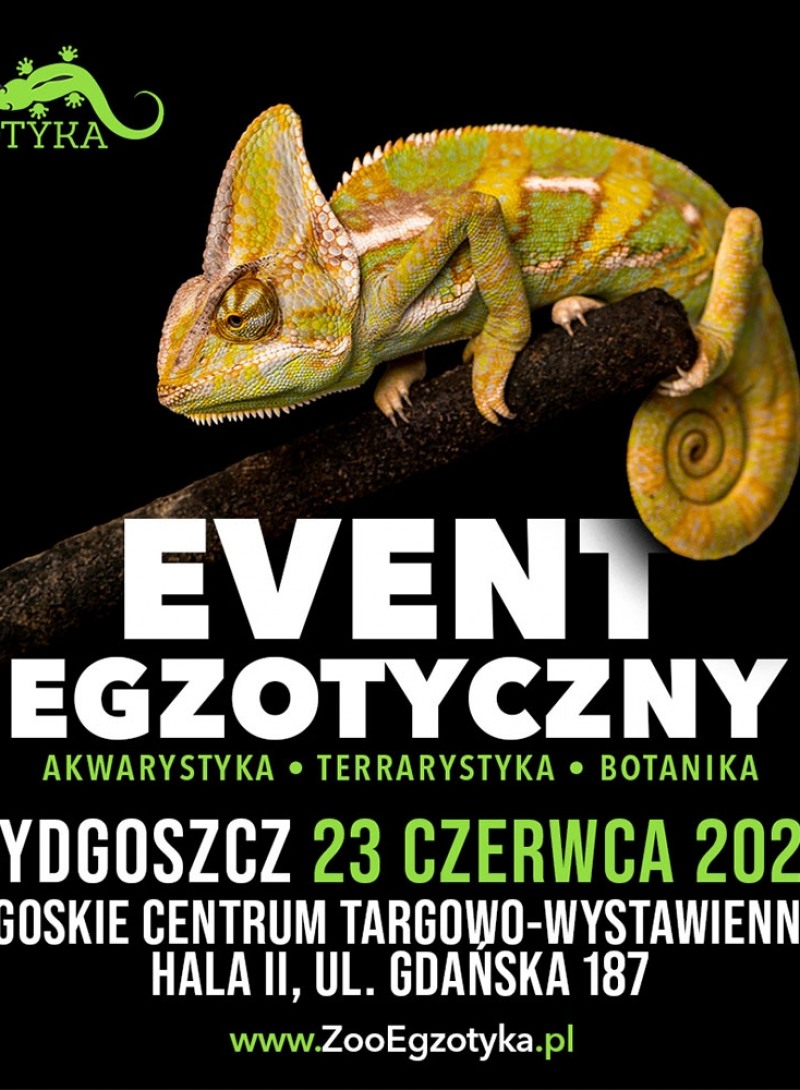 Zooegzotyka Bydgoszcz
