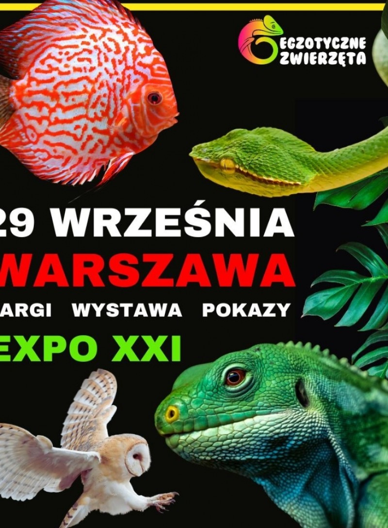 Egzotyczne zwierzęta targi warszawa