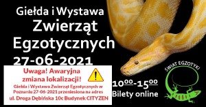 Świat Egzotyki - Poznańskie Targi Terrarystyczne i Botaniczne | Giełda i Wystawa Zwierząt Egzotycznych 27-06-2021r 