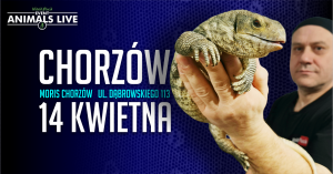 Animals Live Chorzów 14 Kwietnia 2024 - Terrarystyka & Akwarystyka & Botanika