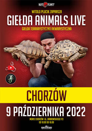 Giełda Terrarystyczno-Akwarystyczna ANIMALS LIVE Chorzów od 10.00 do 16.00