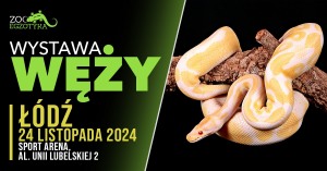 WYSTAWA WĘŻY Łódź