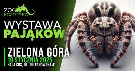 Bilety na wydarzenie - WYSTAWA PAJĄKÓW Zielona Góra, Zielona Góra