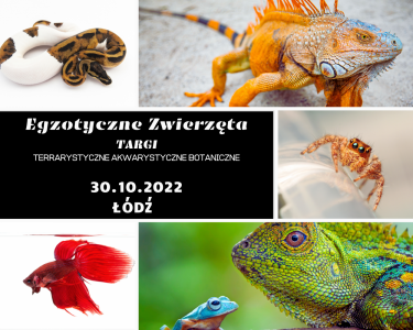 Bilety na wydarzenie - Egzotyczne Zwierzęta   -    TERRARYSTYKA AKWARYSTYKA BOTANIKA, Łódź
