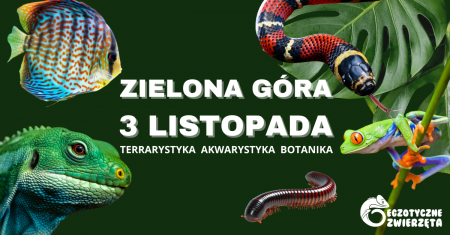 Bilety na wydarzenie - Egzotyczne Zwierzęta ZIELONA GÓRA - 3 listopada TERRARYSTYKA AKWARYSTYKA BOTANIKA, Zielona Góra