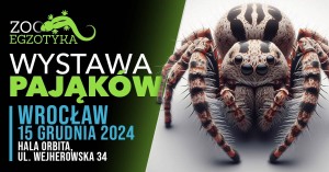 WYSTAWA PAJĄKÓW Wrocław