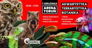 TORUŃ - 1 GRUDNIA - EGZOTYCZNE ZWIERZĘTA - TERRARYSTYKA AKWARYSTYKA BOTANIKA