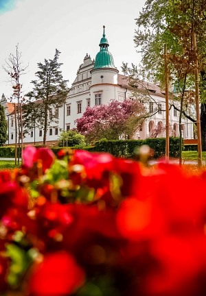 Park Zamkowy w Baranowie Sandomierskim