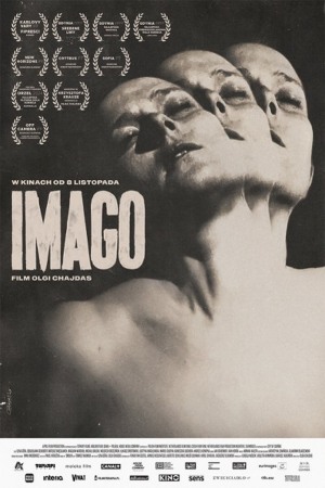 IMAGO -  Młodzieżowy Klub Filmowy LEŻAK